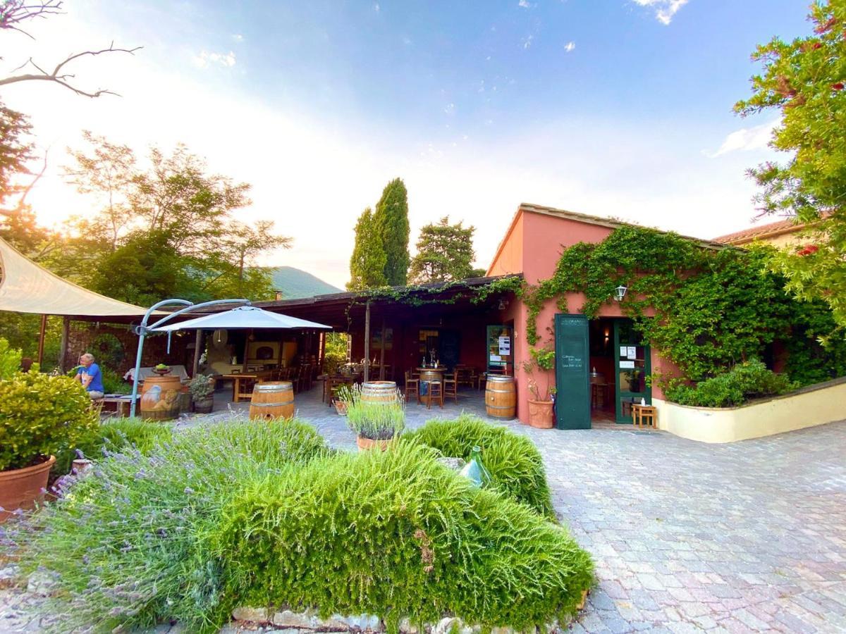 Aparthotel Agriturismo Terenzana à Riparbella Extérieur photo