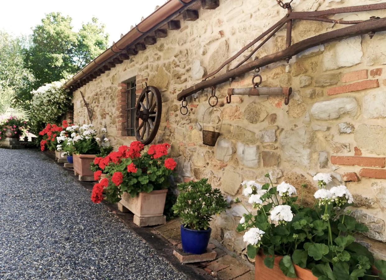 Aparthotel Agriturismo Terenzana à Riparbella Extérieur photo