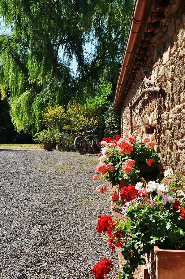 Aparthotel Agriturismo Terenzana à Riparbella Extérieur photo