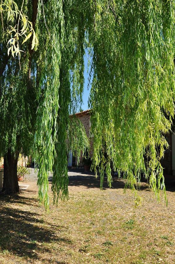 Aparthotel Agriturismo Terenzana à Riparbella Extérieur photo